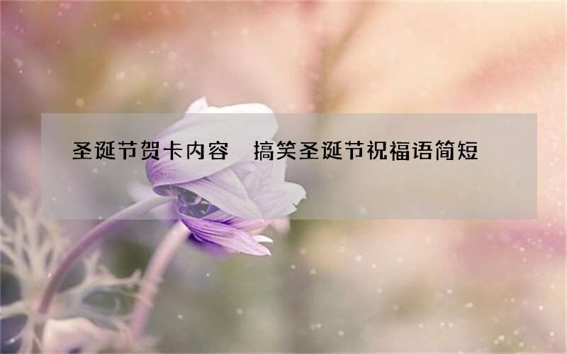 圣诞节贺卡内容 搞笑圣诞节祝福语简短